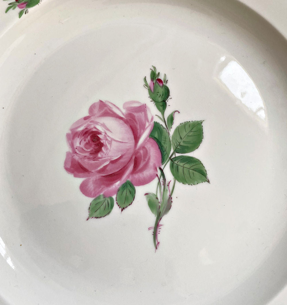 Set of six 1930s Meissen porcelain dinner plates with hand-painted pink roses. Elegant European floral china for refined tables.