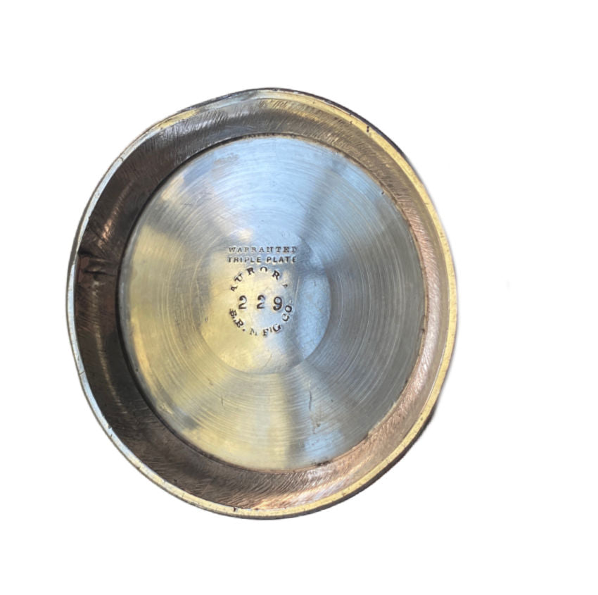 Antique 1800's Aurora Silver Plate Spooner with Birds