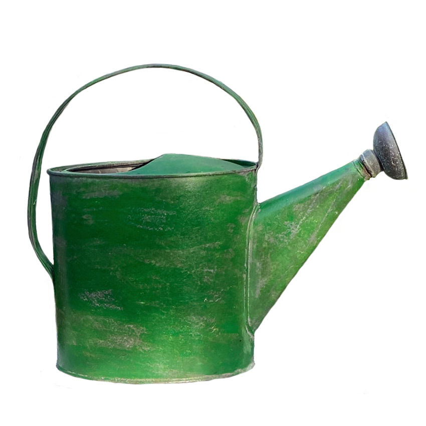 Antique French green painted metal watering can with original spout, showing signs of wear and patina.