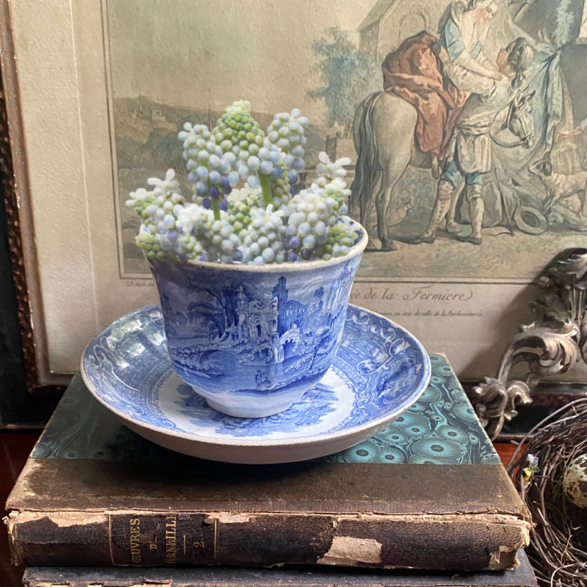 Victorian Abbey ironstone tea bowl and saucer, fine English transferware, blue & white displayed with antique books and French print.