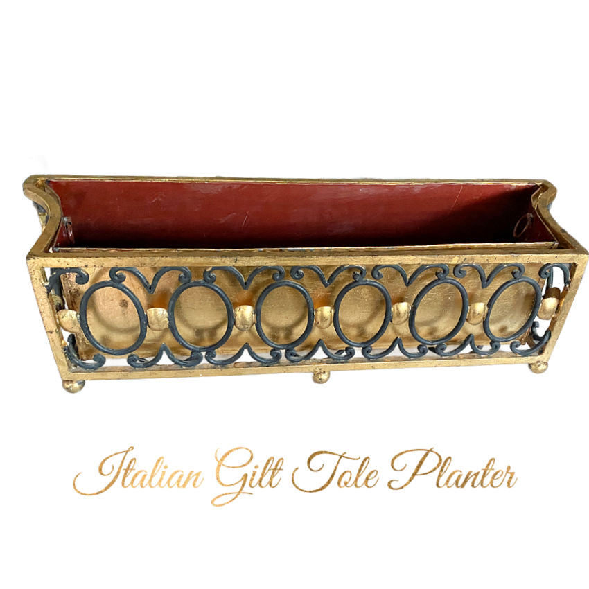 Elegant Italian Tole Planter in black and gold filled with lush ferns, Florentine neoclassical design, luxurious 19th-century decorative accent.
