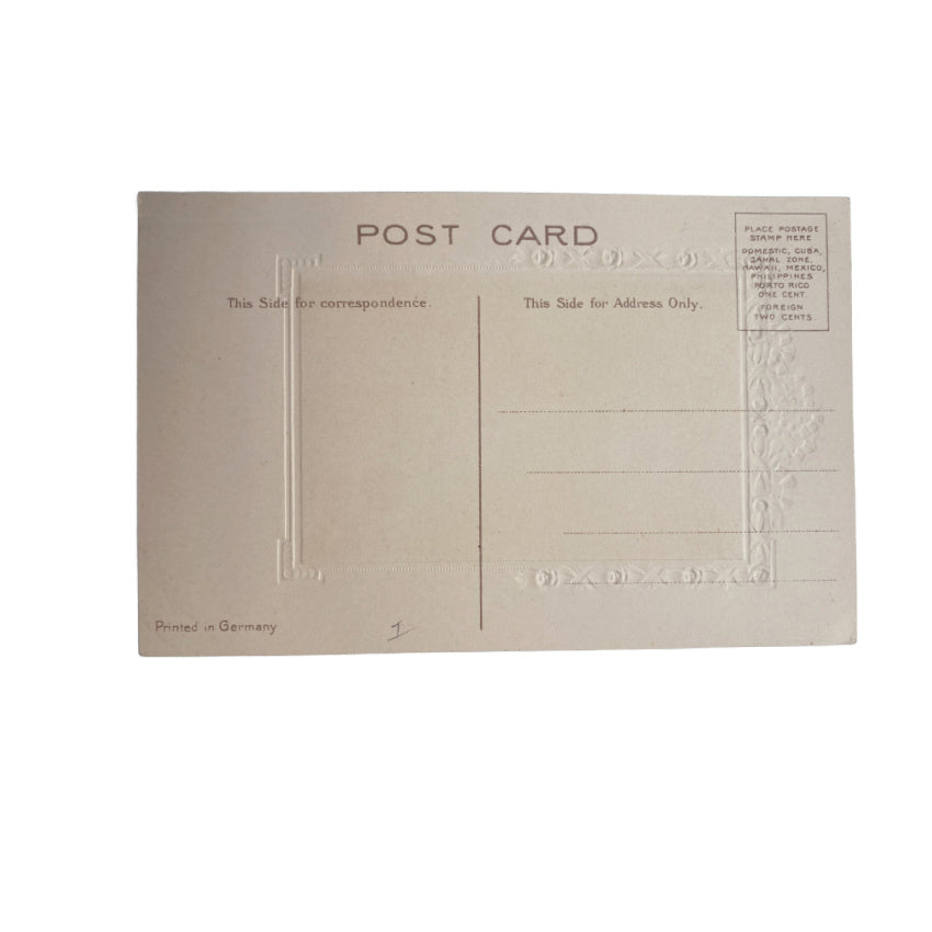 Unused Antique Chromolithograph Portrait Lady in Pink Postcard