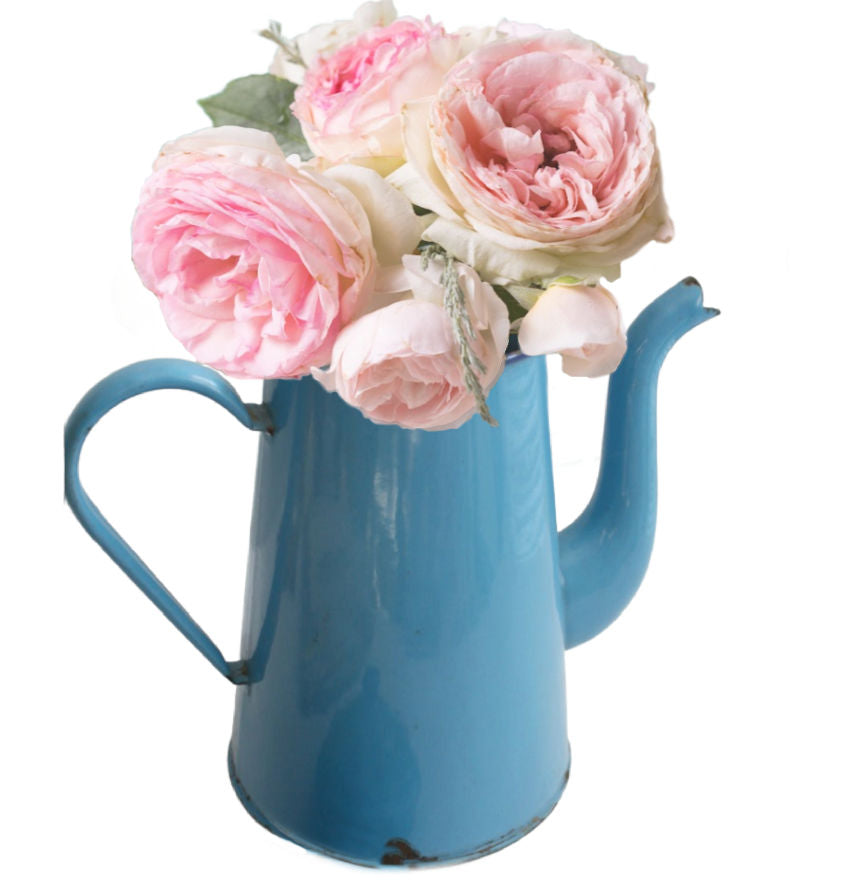 Vintage French blue enamel coffee pot with soft patina and classic cafetière shape with pink roses