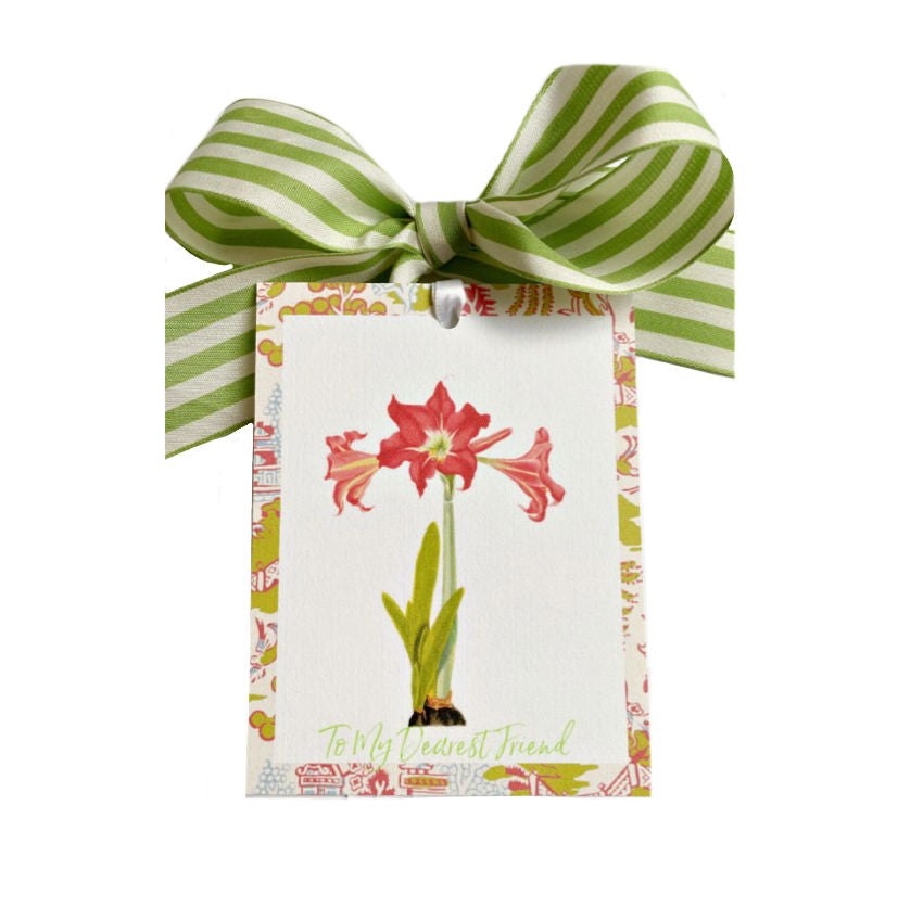 Amaryllis Tags and Green Striped Ribbon Set