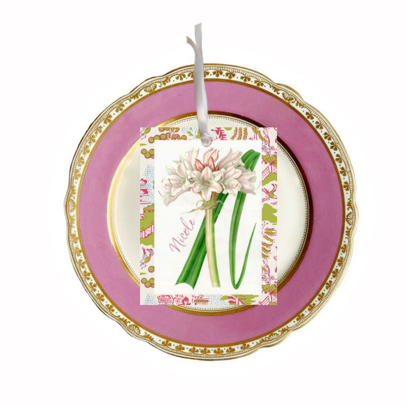Amaryllis Tags and Green Striped Ribbon Set