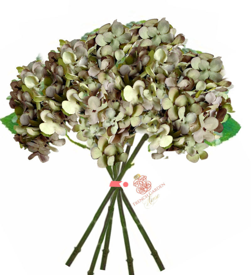 Luxury autumn green hydrangeas