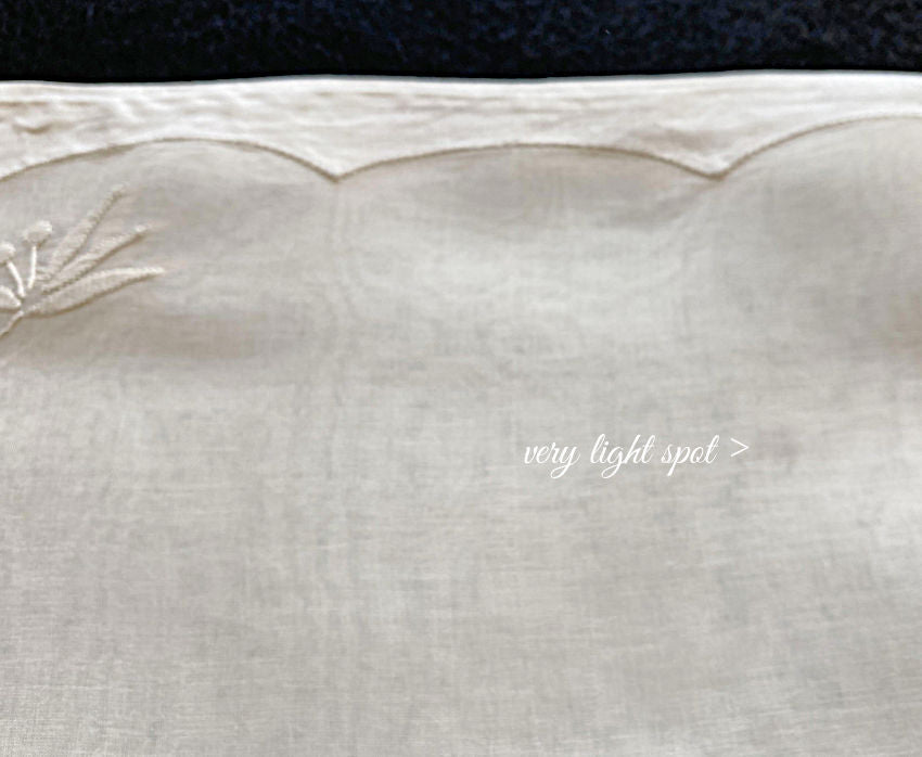 Vintage Madeira Organdy 8pc Placemat Setting for 4 Berried Flowers