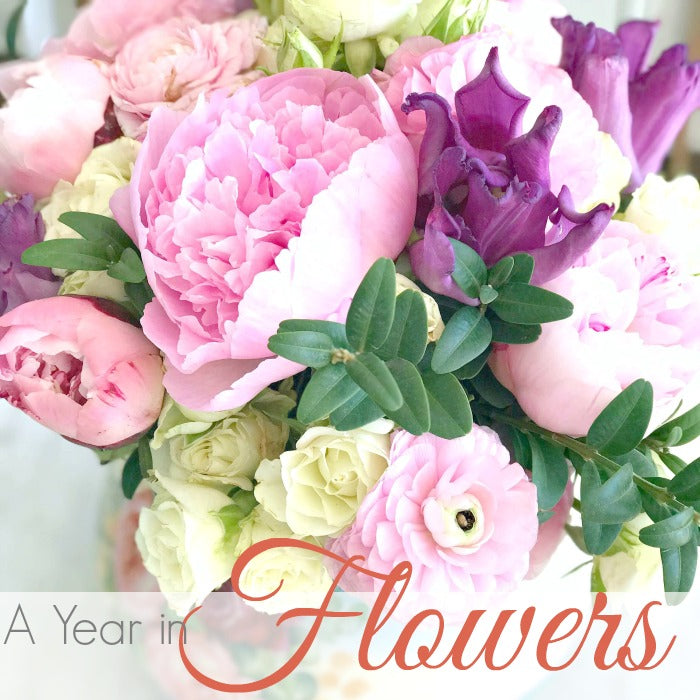 Brilliant Friends | A YEAR IN FLOWERS