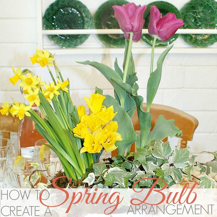 HOW TO CREATE A SPRING BULB ARRANGEMENT
