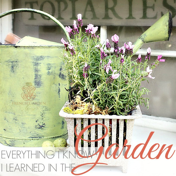 Reblogged | EVERYTHING I KNOW I LEARNED IN THE GARDEN