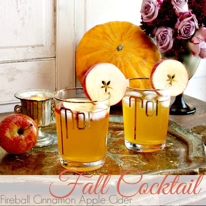 FIREBALL CINNAMON APPLE CIDER FALL COCKTAIL