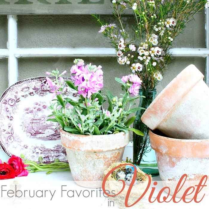 FEBRUARY FAVORITE THINGS | VIOLET