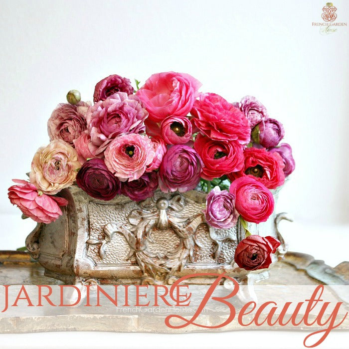 JARDINIERE BEAUTY