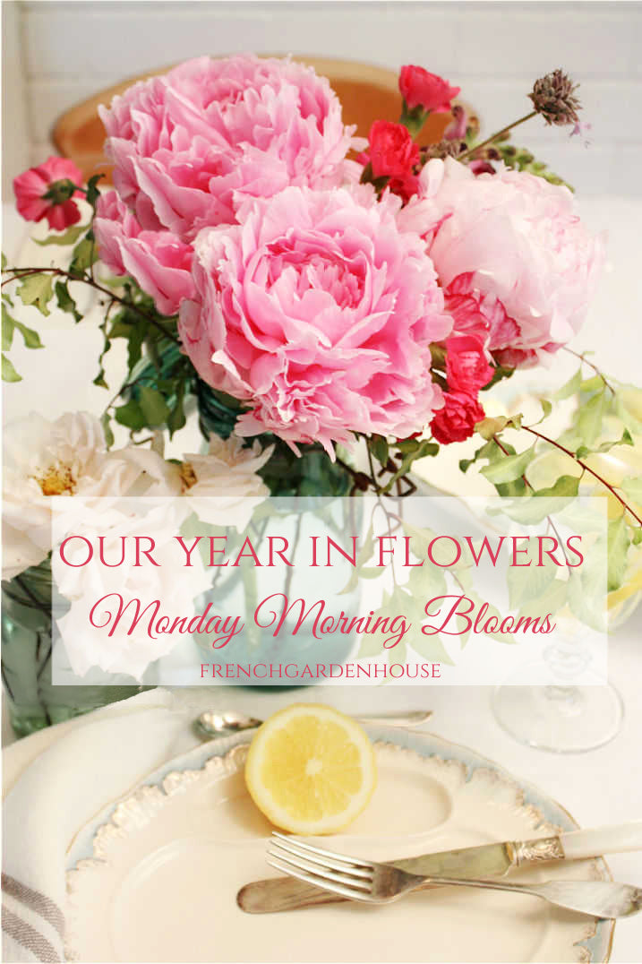 Our Year in Flowers