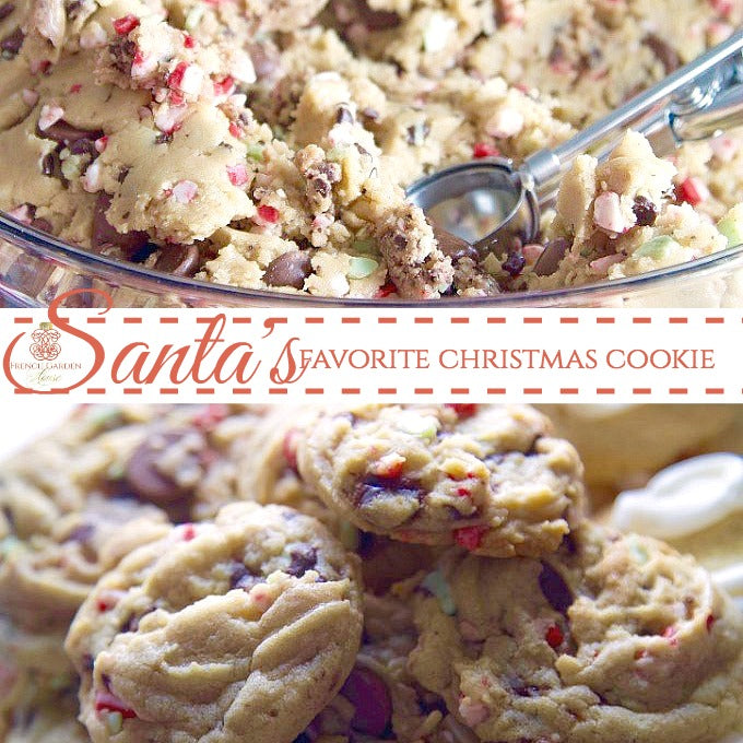 Red, Green and Christmas Chocolate Chip All Over