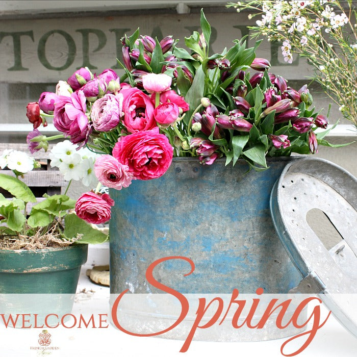 African Spring Welcome WELCOME SPRING - frenchgardenhouse