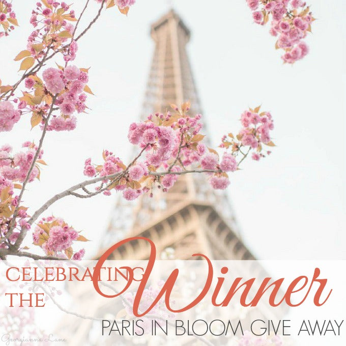 CELEBRATING THE WINNER OF THE PARIS IN BLOOM GIVEAWAY