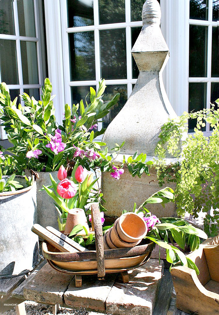 Our Garden Update