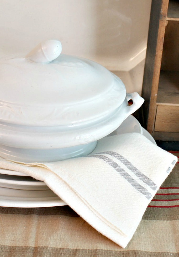 antique ironstone tureen