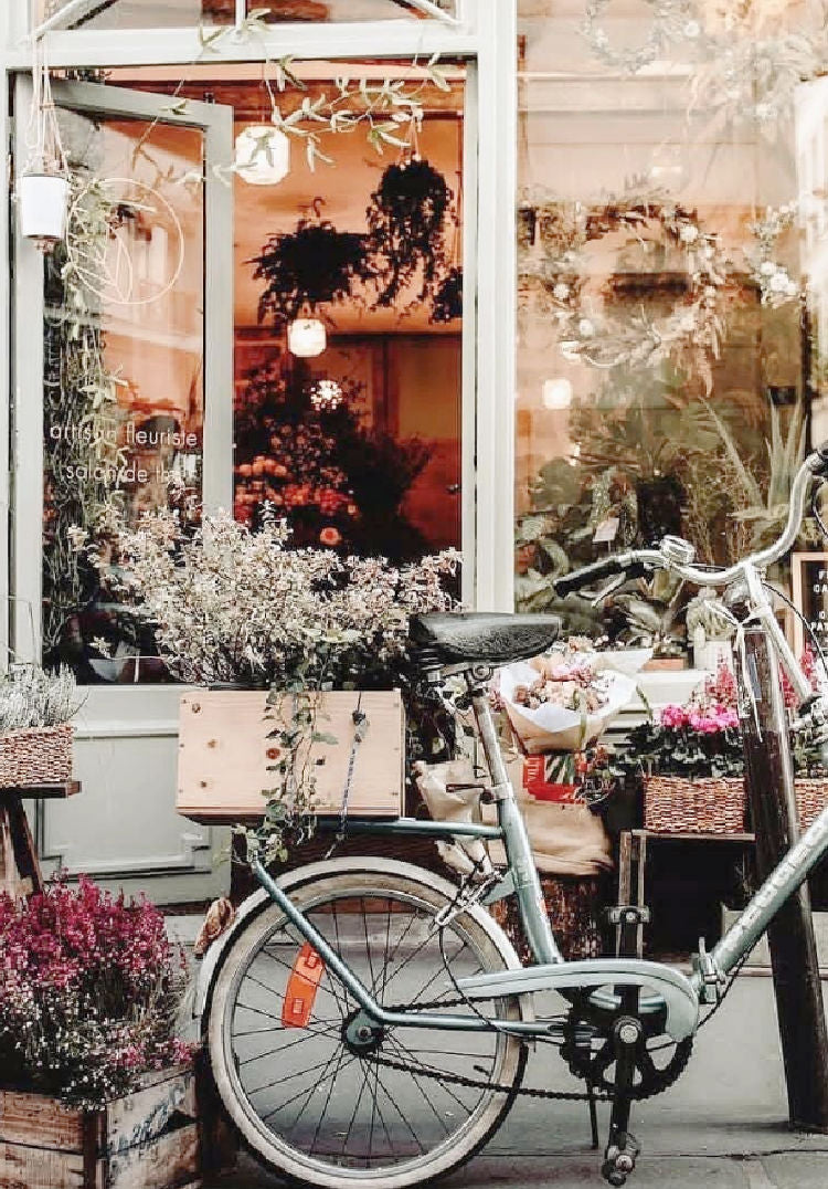 Discover Fragrance Flowers in Paris