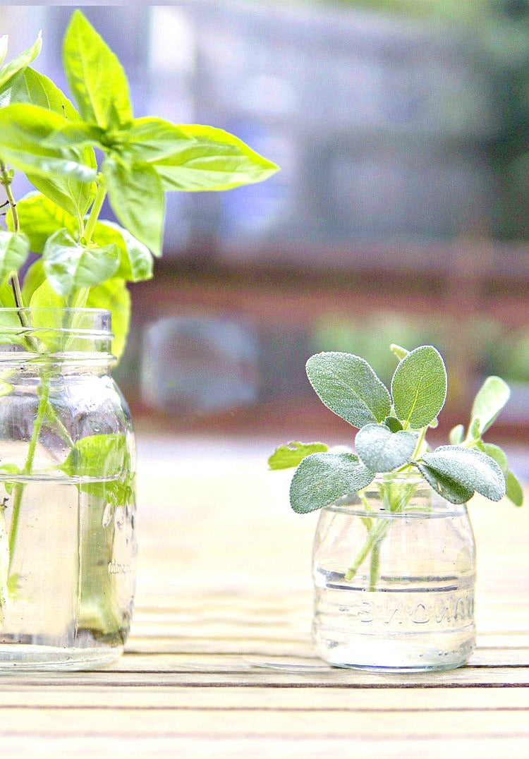 How to cook like a French Woman