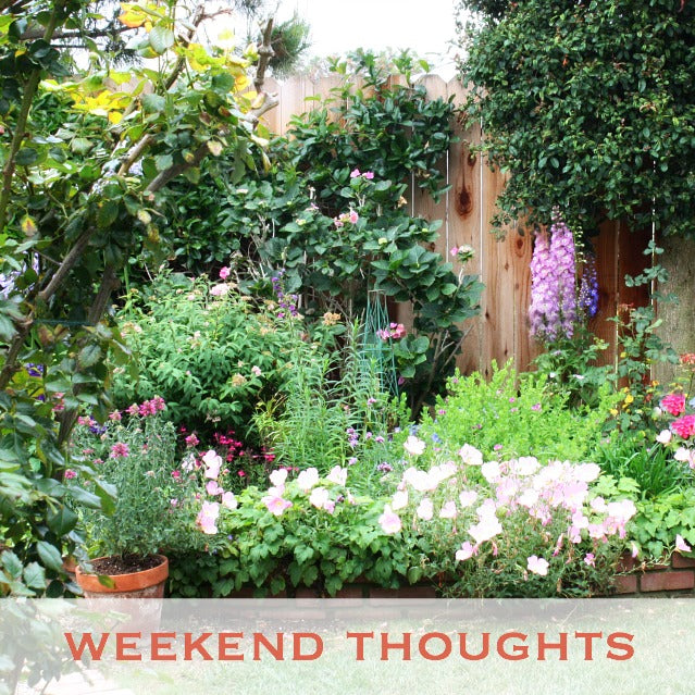 Weekend Thoughts