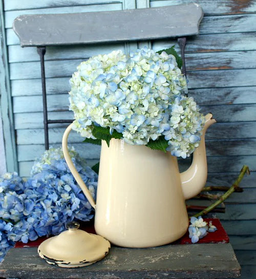 Weekly Favorites: Summer French Country Wares