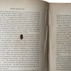 1879 The Manners That Win Victorian Etiquette Book
