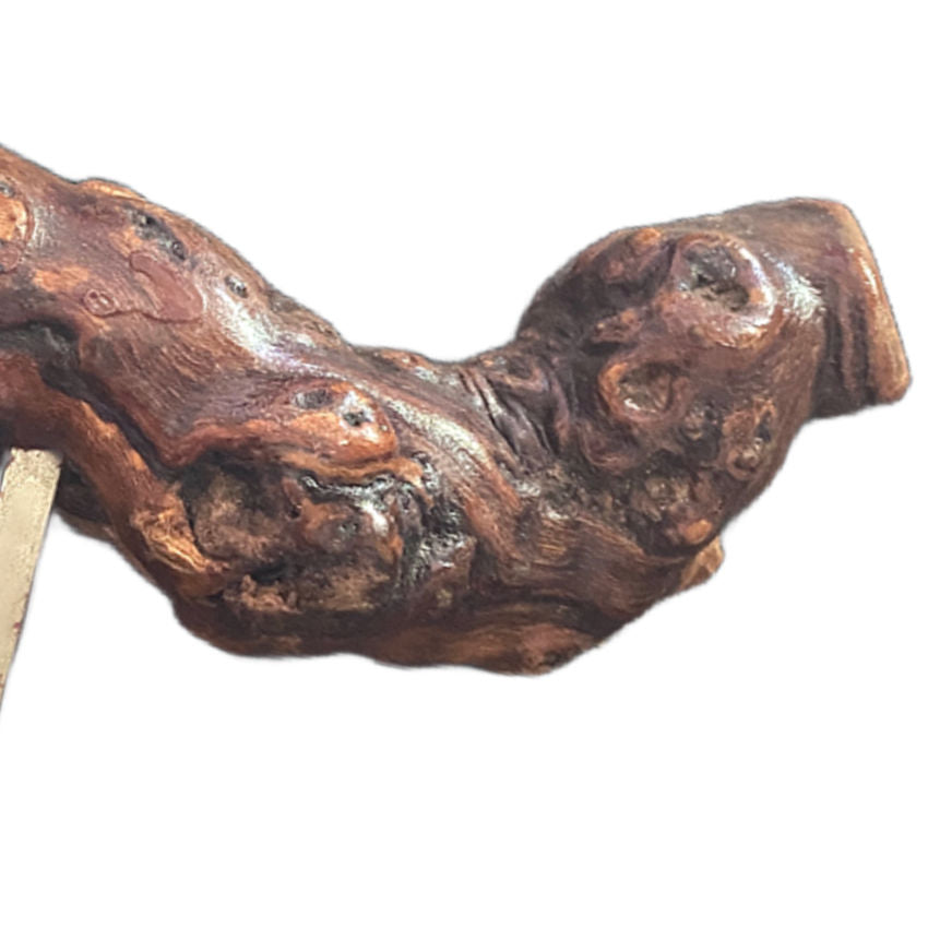 1930&#39;s Large French Laurent Siret Signed Vine Wood Corkscrew