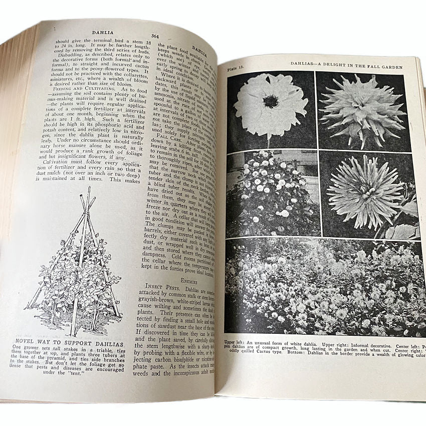 1946 Gardening for the Small Home - Garden Encyclopedia