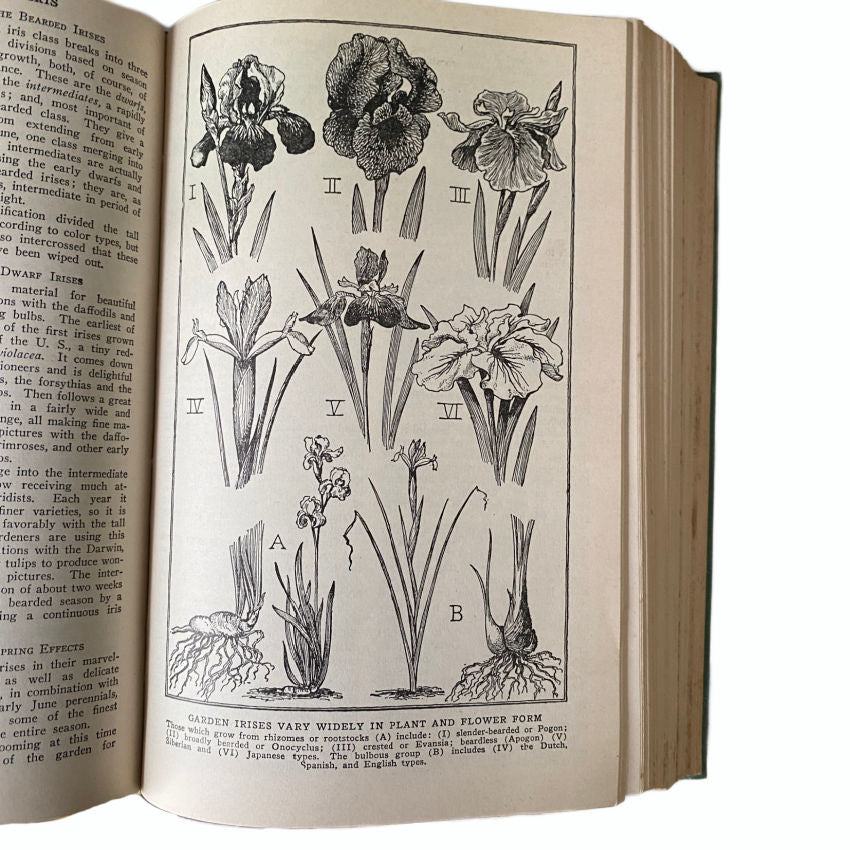 1946 Gardening for the Small Home - Garden Encyclopedia