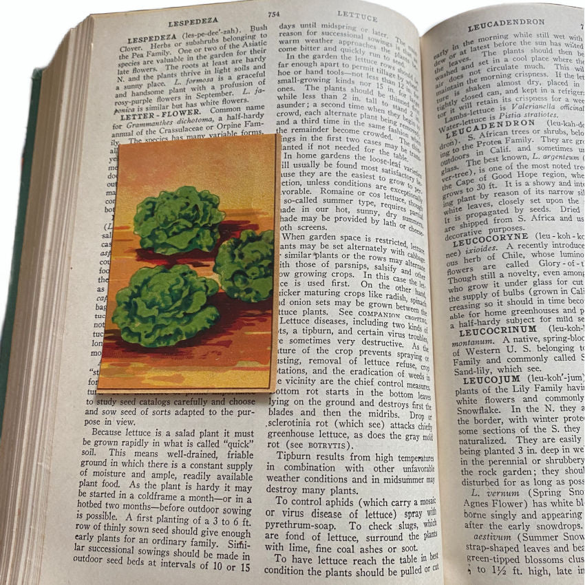 1946 Gardening for the Small Home - Garden Encyclopedia