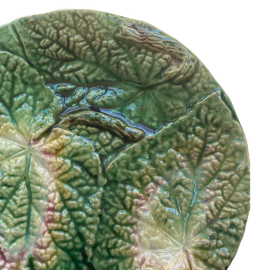 19th Century English Majolica Begonia Plate