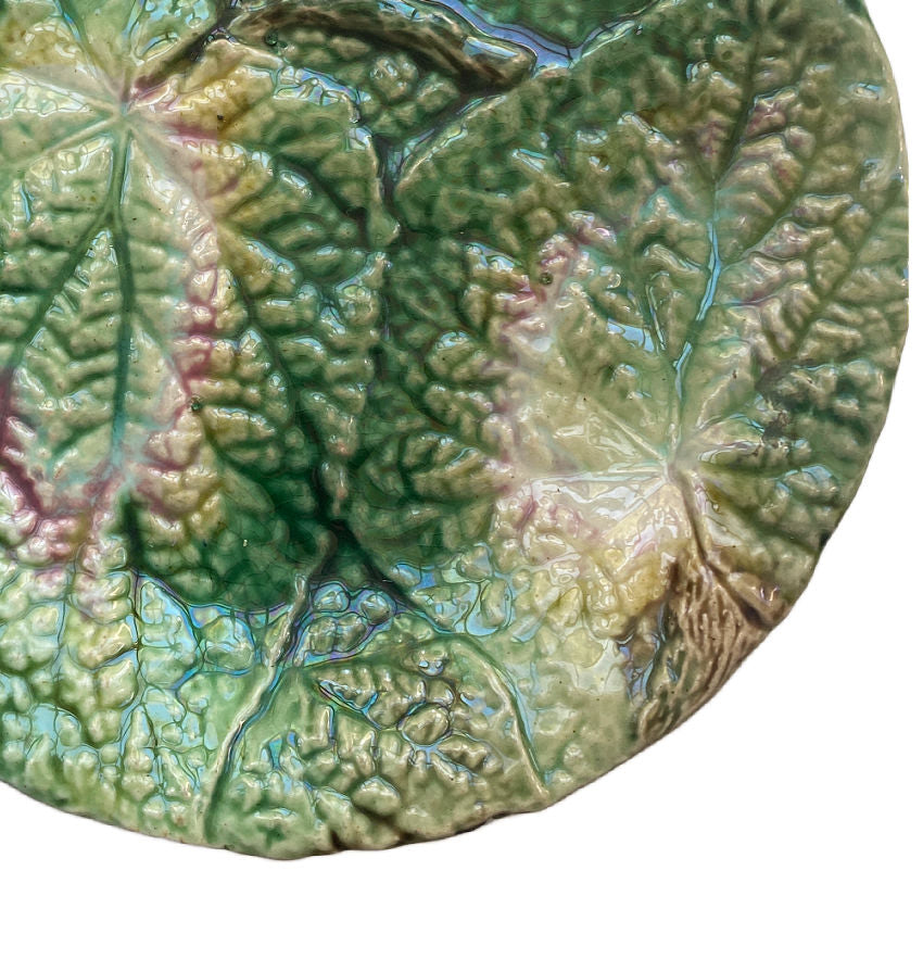 19th Century English Majolica Begonia Plate