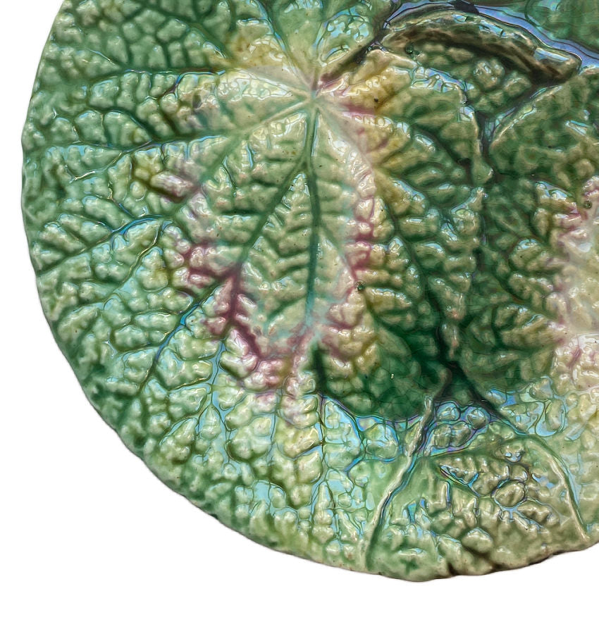 19th Century English Majolica Begonia Plate