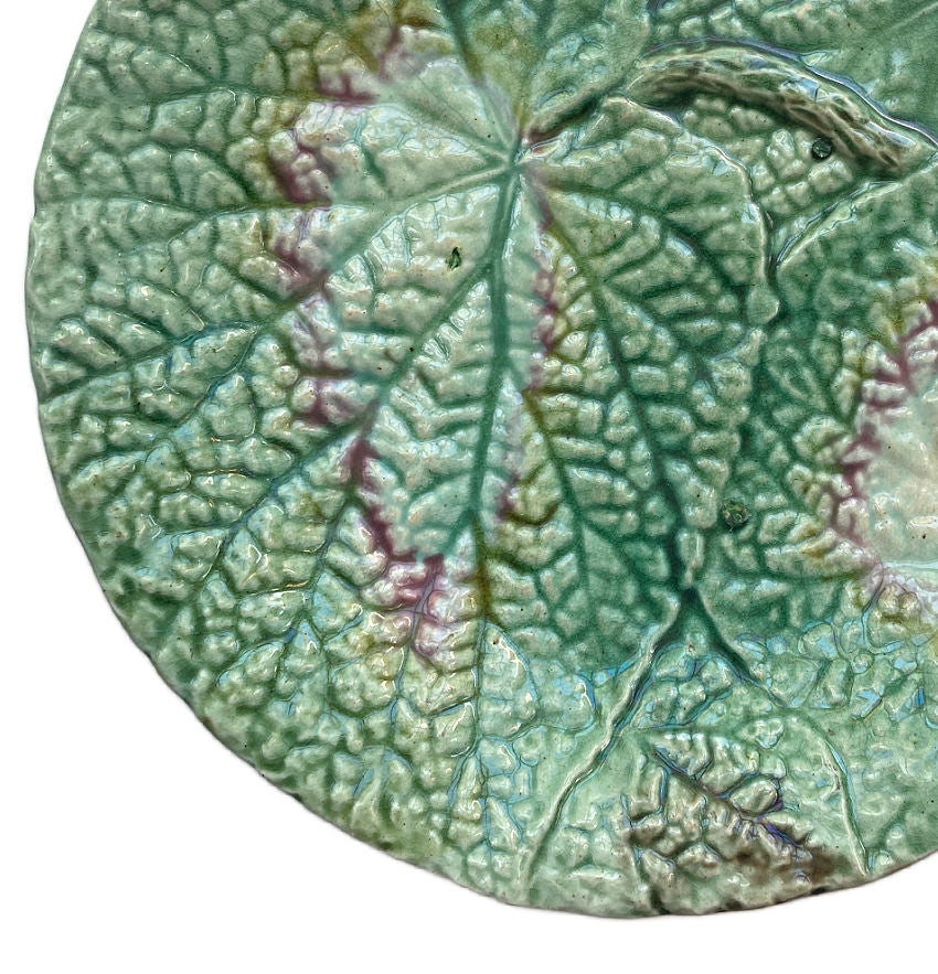 19th Century English Majolica Begonia Plate I