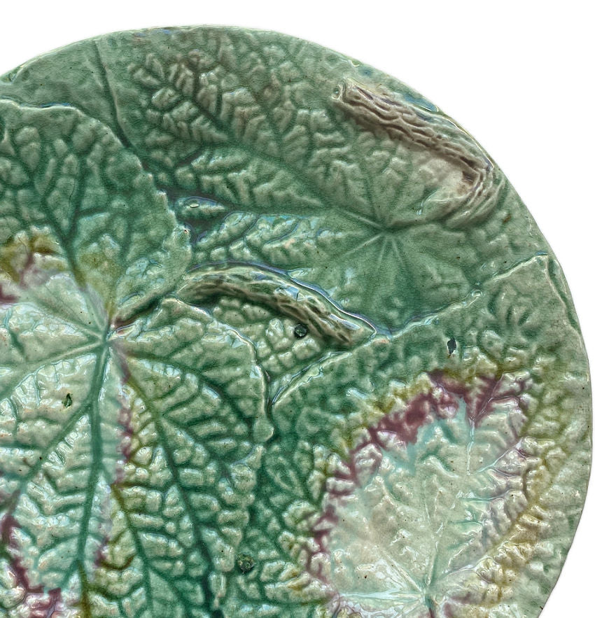 19th Century English Majolica Begonia Plate I