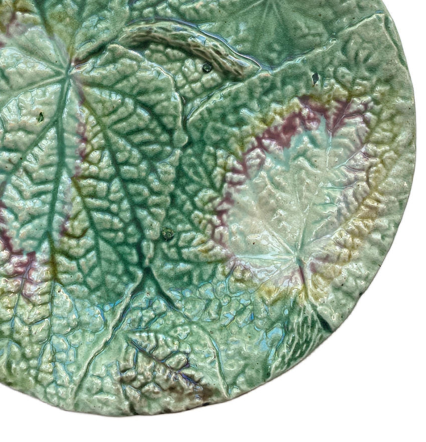 19th Century English Majolica Begonia Plate I