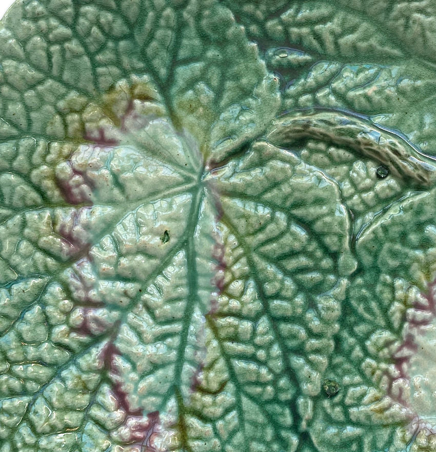 19th Century English Majolica Begonia Plate I