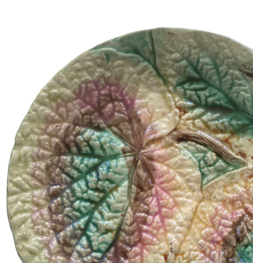 19th Century English Majolica Begonia Plate II