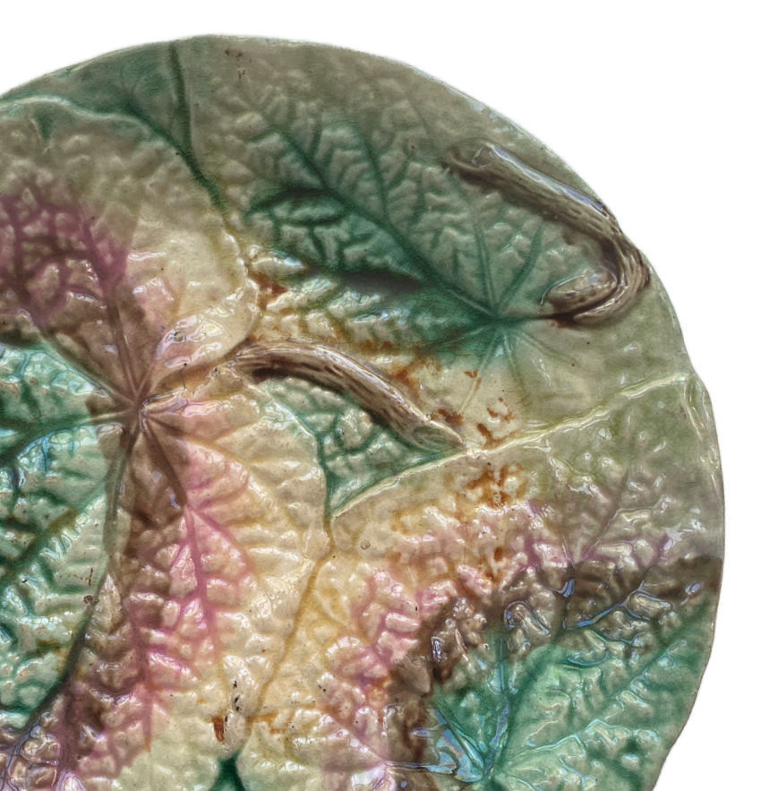 19th Century English Majolica Begonia Plate II