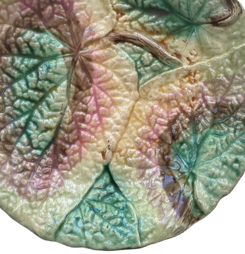 19th Century English Majolica Begonia Plate II
