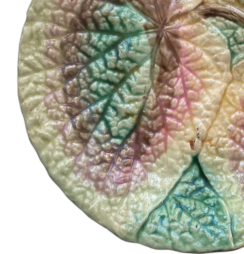 19th Century English Majolica Begonia Plate II
