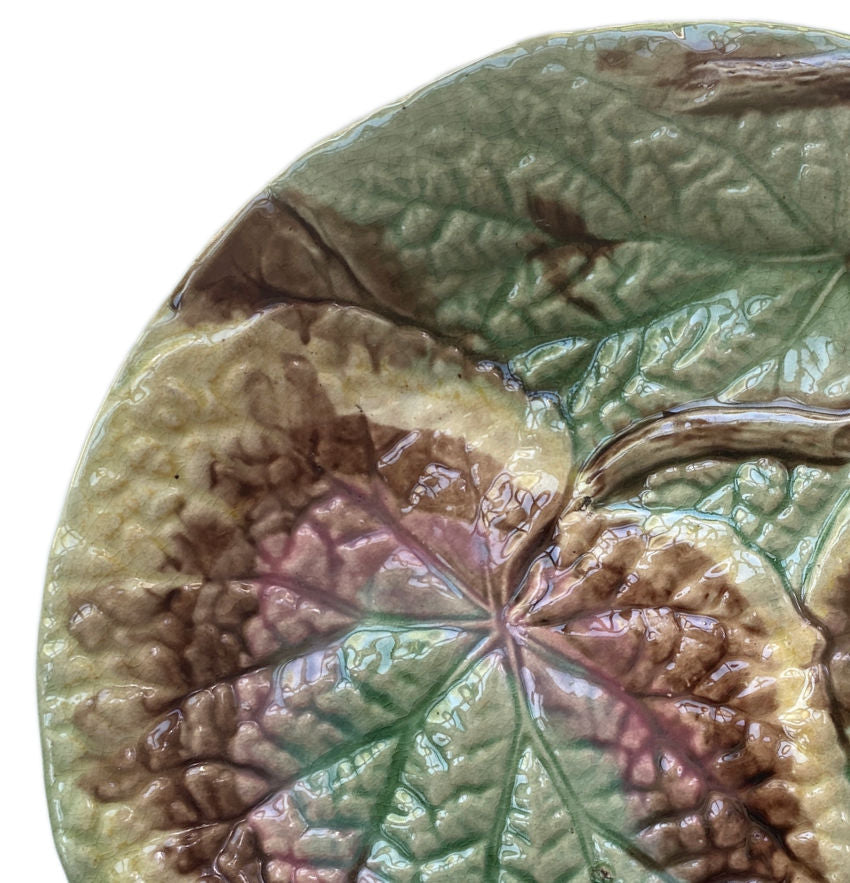19th Century English Majolica Begonia Plate III