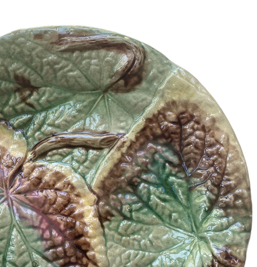 19th Century English Majolica Begonia Plate III