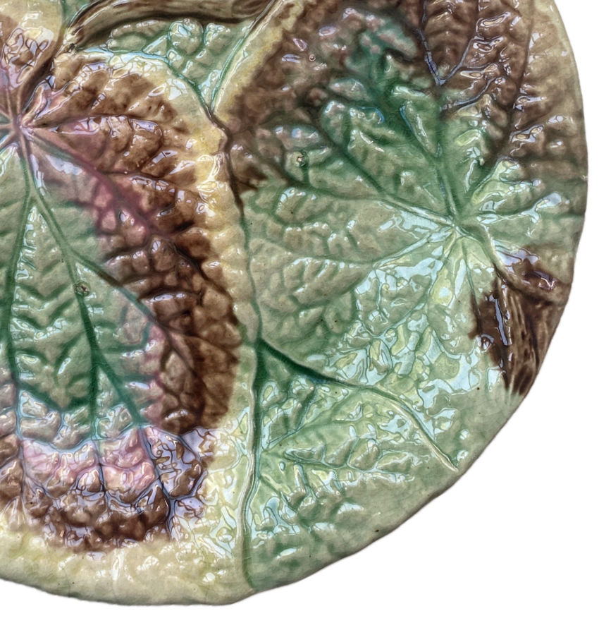 19th Century English Majolica Begonia Plate III