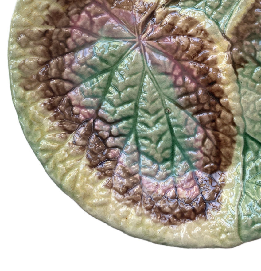 19th Century English Majolica Begonia Plate III