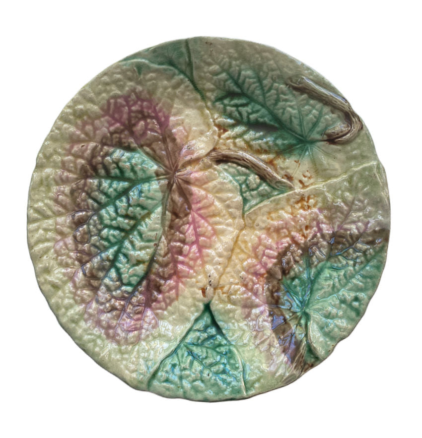 19th Century English Majolica Begonia Plate II