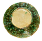 19th Century Majolica Plate Ferns and Flowers