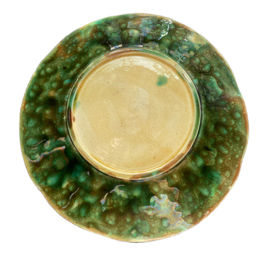 19th Century Majolica Plate Ferns and Flowers